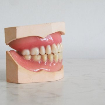 a set of denture on a clean display setup
